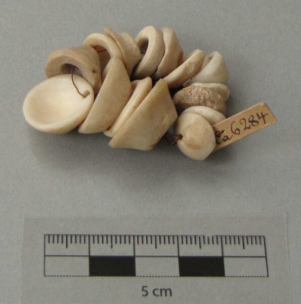 Shell beads