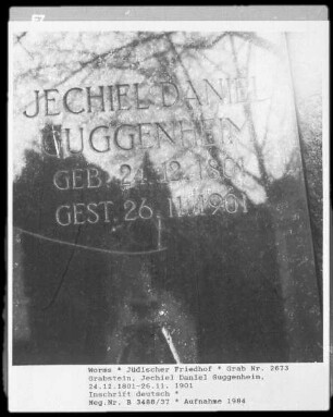 Grabstein von Jechiel Daniel Guggenheim (gestorben 1901.11.26)