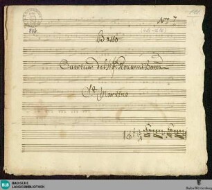 Symphonies - Mus. Hs. 802 : vl (2), vla, cor (2), b; g; JenS 57