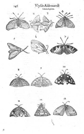 Tabula septima