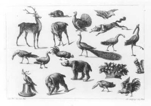 Verschiedene Tiere, Einheimische Tierwelt mit Hirsch und Bär : Wolf, Jeremias (Hersteller), Engelbrecht, Martin (Hersteller): Verschiedene Tiere, Einheimische Tierwelt mit Hirsch und Bär. Kupferstich; 191 x 298 mm. Dresden: Kupferstich-Kabinett A, 4 (INT XV-XX, A in B-Bänden) in B 1360,2 II