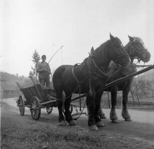 Schwalm-Eder-Kreis. Pferdefuhrwerk auf einer Dorfstraße mit auf dem Heuwagen stehendem Kutscher