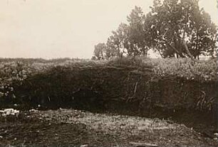 Erzgebirge. Hochmoor bei Georgenfeld