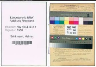 Entnazifizierung Helmut Brinkmann , geb. 28.07.1903 (Stadtsekretaer)