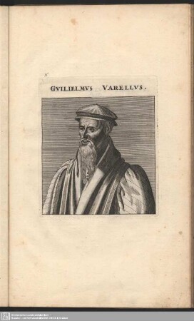 Guilielmus Varellus
