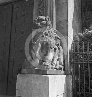 Steinerner Löwe an einem Portal in Posen