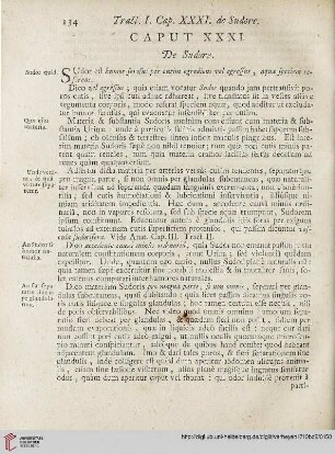 Caput XXXI: De Sudore