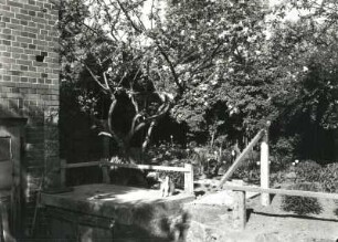 Güstrow. Hausgarten. Ansicht mit Kellerzugang