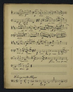 Scherzo, molto Allegro.