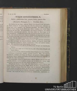 Linoideae. Linum usitatissimum, L. Saatlein, gebräuchlicher Lein, gemeiner Flachs, gemeiner Lein. (Pentandria Pentagynia, L. - Linoideae, DeC.).