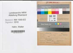 Entnazifizierung Walter Hahn, geb. 05.02.1912 (Apotheker)