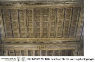 Kassettendecke mit Rosettendekor