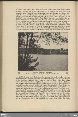 Der Kalksee. Binenwalde