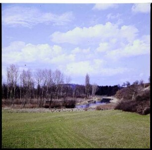 Jechtingen: Altrheinlandschaft bei Jechtingen