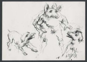 Die Hunde des Bauern bedrohen Reineke