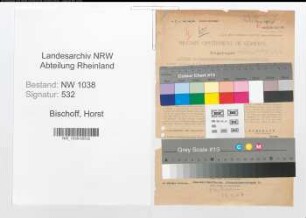 Entnazifizierung Horst Bischoff , geb. 12.02.1909 (Beamter)