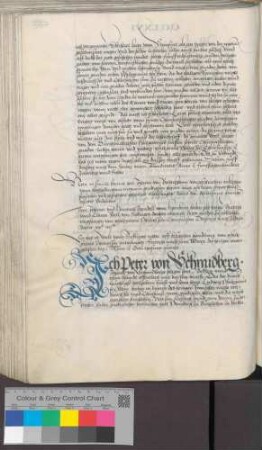 Peter von Schmidtburg
