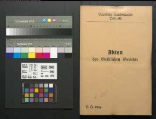 Anerbe Adolph Brinkmeier Nr. 9 zu Hardissen, der Wilhelmine Feger aus Hardissen heiraten will gegen seinen Vater Kolon Brinkmeier Nr. 9 zu Hardissen, wegen des väterlichen Ehekonsens