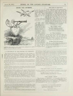 Geese and ganders
