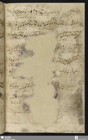 [Usper, Francesco:] Cantate dilecto meo et exsultate