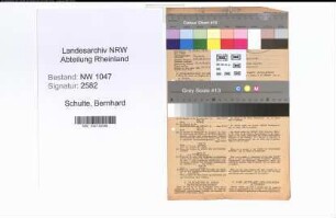Entnazifizierung Bernhard Schulte , geb. 31.07.1895 (Strassenmeister)