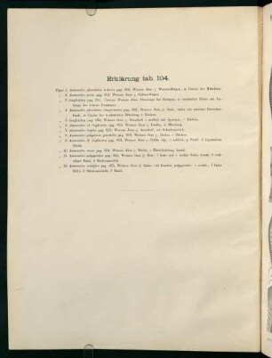 Tab. 104