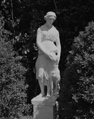 Diana