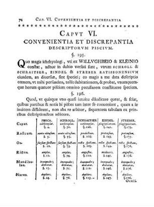 Caput VI. Convenientia et Discrepantia Descriptorum Piscium