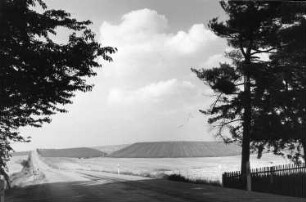 Wilsdruff-Mohorn. Windmühle, Blick von der Freiberger Straße in Hutha auf den Windmühlenberg oder Huttenknochen (Bildmitte)