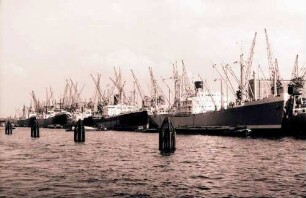 Hamburg: Zollhafen