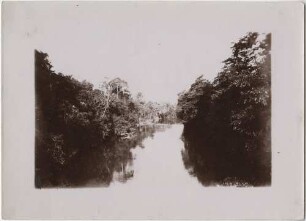 Rio Mearim bei Victoria