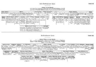 Tafel X. Lohe-Haddenhauser Linie.