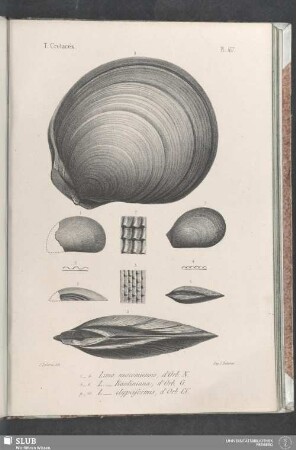 Pl. 417