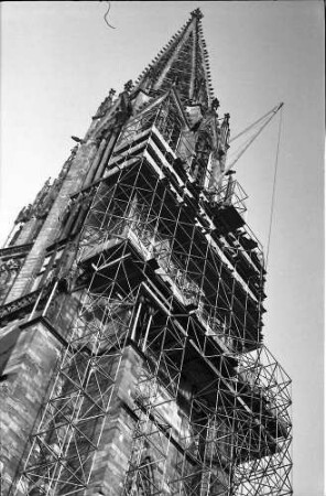 Freiburg: Münsterturm im Gerüst, von Südwesten
