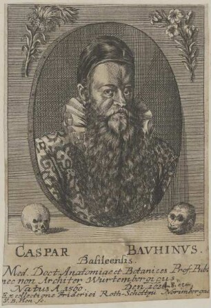 Bildnis des Caspar Bavhinvs