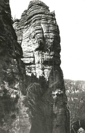 Sächsische Schweiz, Rathener Gebiet. Amselspitze. Seilschaft Ehrhardt Renger bei der Erstbegehung des nach ihm benannten Rengerweges (VIIc)