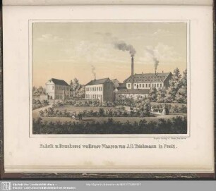 Die Fabrik und Druckerei wollener Waaren von J. D. Teichmann in Penig