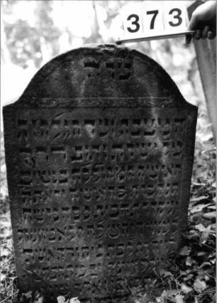 Grabstein 373 (Index: 99803592) Material: Sandstein Zustand: eingesunken(befestigt)/Textverlust Maße HxBxT: 87x56x7 cm Beschreibung: Stele mit Karniesbogen und profiliertem Rand, Giebelfeld: Grabstein 373