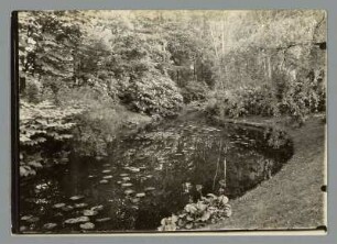 Weiher im Stadtpark zu Chemnitz