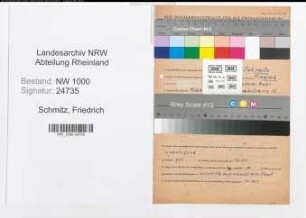 Entnazifizierung Friedrich Schmitz, geb. 21.10.1908 (Polizeibeamter)