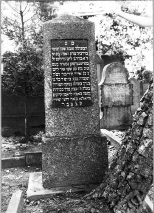 Grabstein 295 (Index: 100094579) Material: Granit Zustand: gut Maße HxBxT: 160x58x28 cm Beschreibung: Obelisk, Sockel, Schriftplatte: Grabstein 295