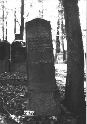 Grabstein 210 (Index: 99899110) Material: Granit Zustand: gut erhalten Maße HxBxT: 160x55x26 cm Beschreibung: aufgesockelte Stele mit Dreiecksabschluss: Grabstein 210