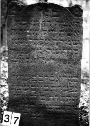 Grabstein 37 (Index: 99804120) Material: Sandstein Zustand: gebroch/verwitt/Textverlust Maße HxBxT: 87x53x8 cm Beschreibung: Stele mit eingezogenem Rundbogen und Seitenakroterien Symbolik: Seitenakroterien als Rosetten gestaltet: Grabstein 37