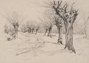 "Kopfweiden am Feldweg"
