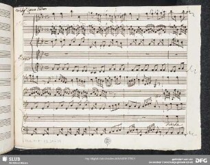 Finché salvo è l'amor suo - Mus.1-F-82,21-25 : A, strings, b