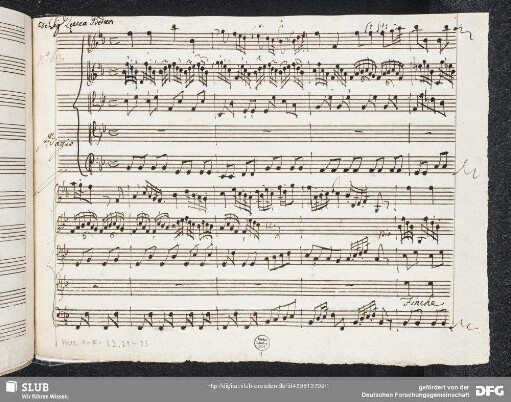 Finché salvo è l'amor suo - Mus.1-F-82,21-25 : A, strings, b