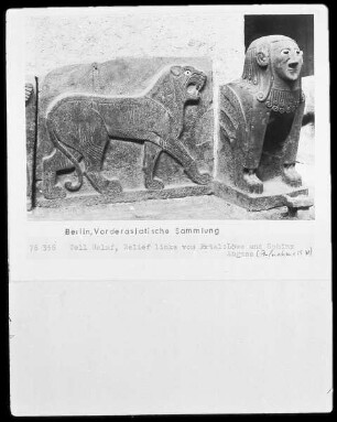 Löwe mit Sphinx (Reliefs links vom Tempeltor)