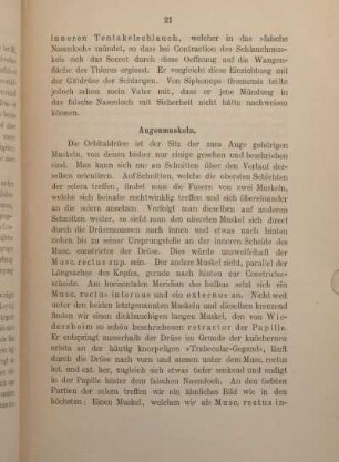 Augenmuskeln