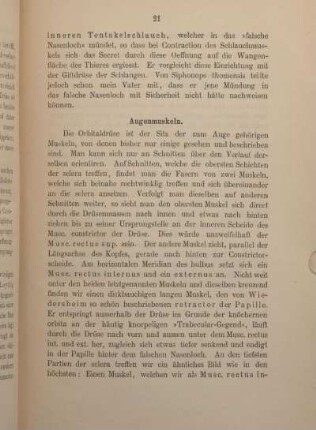 Augenmuskeln