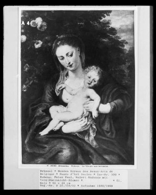 Madonna mit Vergißmeinnicht-Blumen